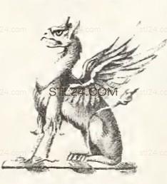 ANIMAL_0190